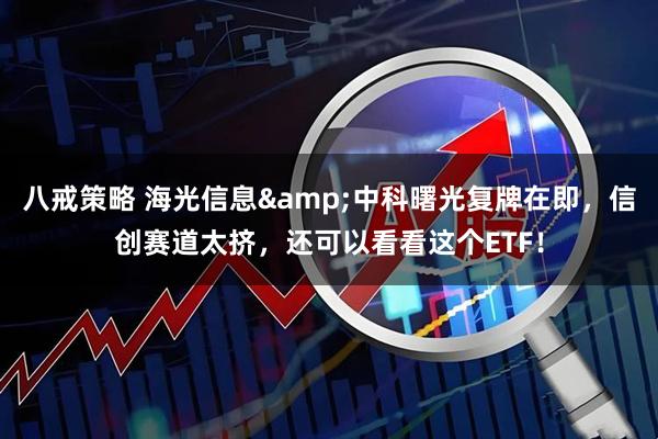 八戒策略 海光信息&中科曙光复牌在即，信创赛道太挤，还可以看看这个ETF！