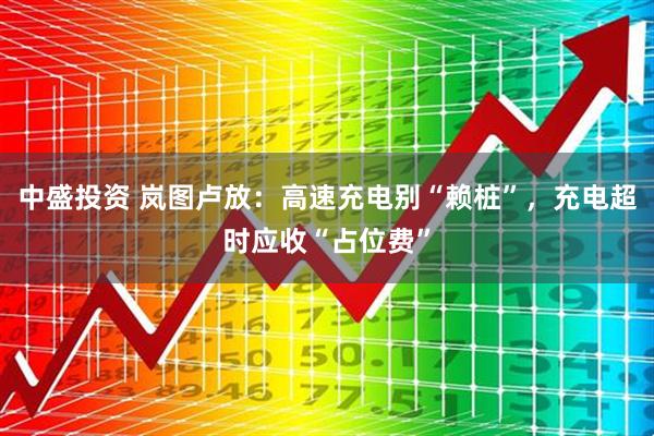 中盛投资 岚图卢放：高速充电别“赖桩”，充电超时应收“占位费”