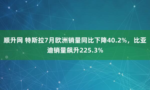 顺升网 特斯拉7月欧洲销量同比下降40.2%，比亚迪销量飙升225.3%