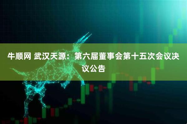 牛顺网 武汉天源：第六届董事会第十五次会议决议公告