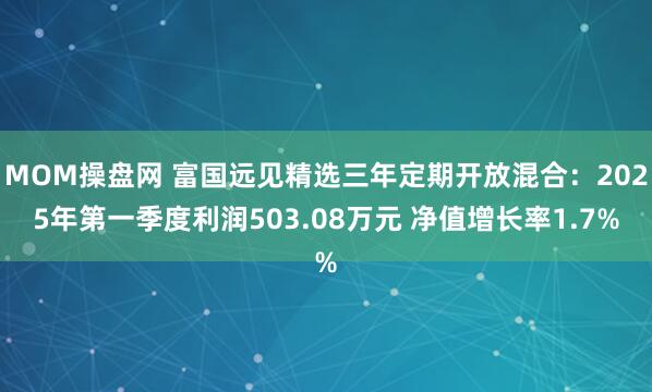 MOM操盘网 富国远见精选三年定期开放混合：2025年第一季度利润503.08万元 净值增长率1.7%