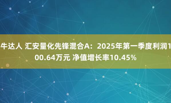 牛达人 汇安量化先锋混合A：2025年第一季度利润100.64万元 净值增长率10.45%