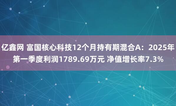 亿鑫网 富国核心科技12个月持有期混合A：2025年第一季度利润1789.69万元 净值增长率7.3%