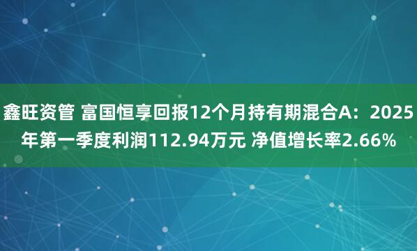 鑫旺资管 富国恒享回报12个月持有期混合A：2025年第一季度利润112.94万元 净值增长率2.66%