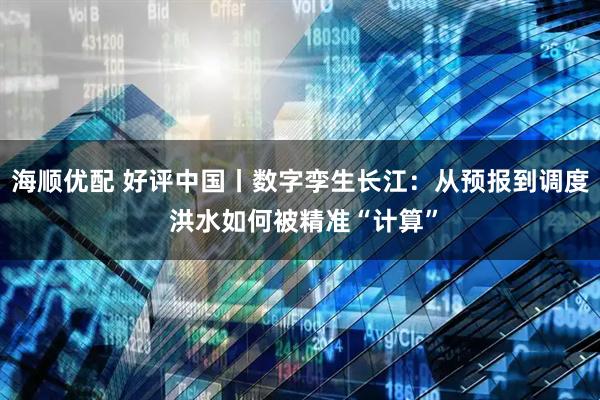 海顺优配 好评中国丨数字孪生长江：从预报到调度 洪水如何被精准“计算”