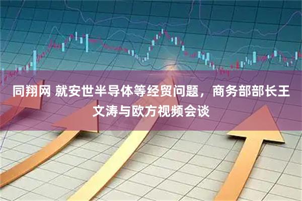 同翔网 就安世半导体等经贸问题，商务部部长王文涛与欧方视频会谈