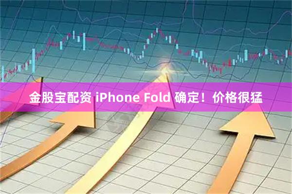金股宝配资 iPhone Fold 确定！价格很猛