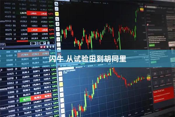 闪牛 从试验田到胡同里